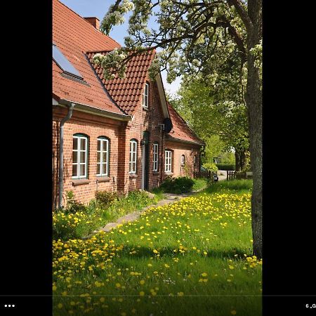 Landhaus Hohenfelde Hohenfelde  Екстер'єр фото
