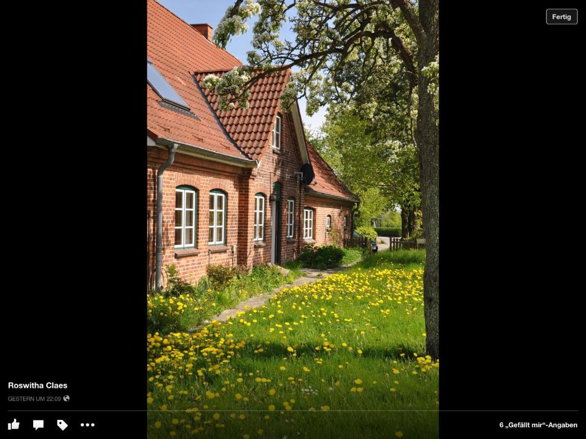 Landhaus Hohenfelde Hohenfelde  Екстер'єр фото